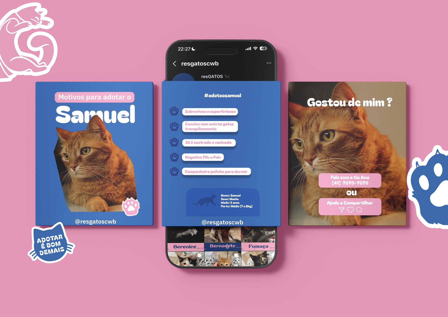 ResGatos — social media